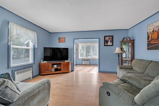 7609 79th St, Glendale, NY 11385 - living room with radiator heating unit, light wood-style floors, and a wall mounted AC