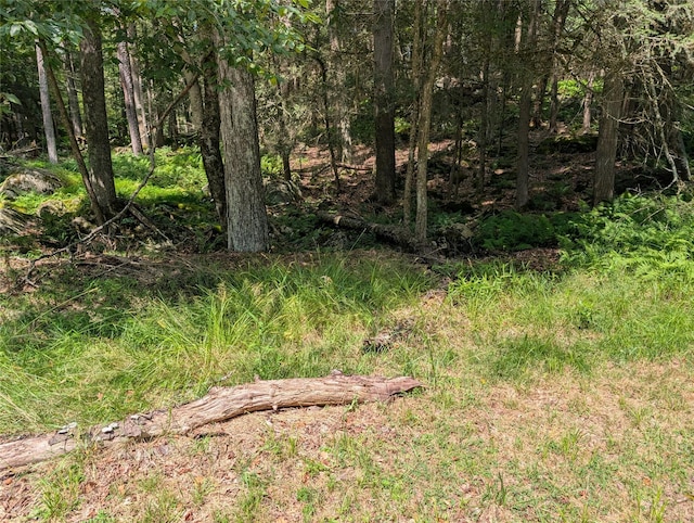Andrew Ln, Bethel, NY 12720 - photo 4