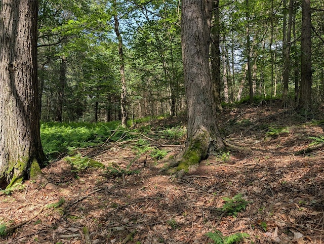 Andrew Ln, Bethel, NY 12720 - photo 8