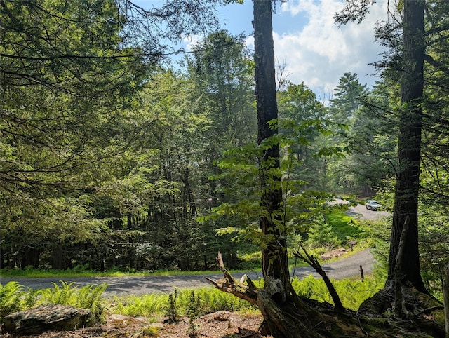 Andrew Ln, Bethel, NY 12720 - photo 12