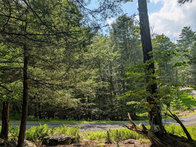 Andrew Ln, Bethel, NY 12720 - photo 13
