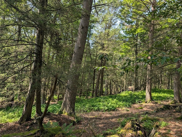 Andrew Ln, Bethel, NY 12720 - photo 14