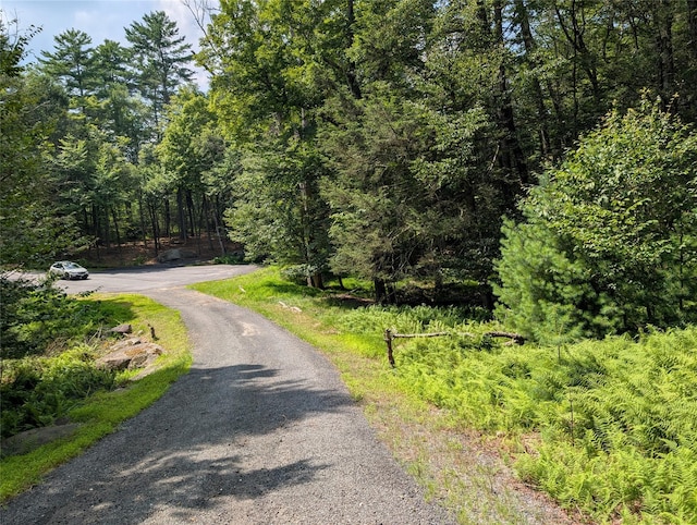 Andrew Ln, Bethel, NY 12720 - photo 15