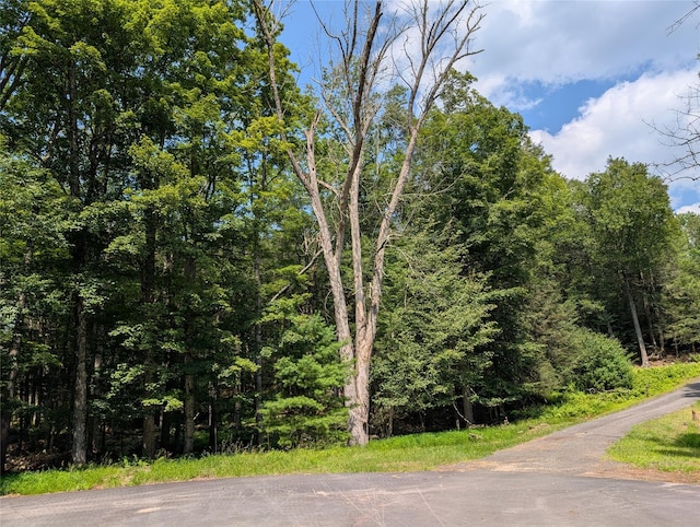 Andrew Ln, Bethel, NY 12720 - photo 16