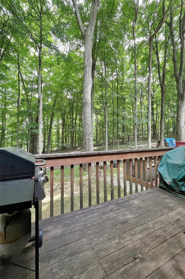 1 Maple Hill Dr, Mahopac, NY 10541 - photo 44