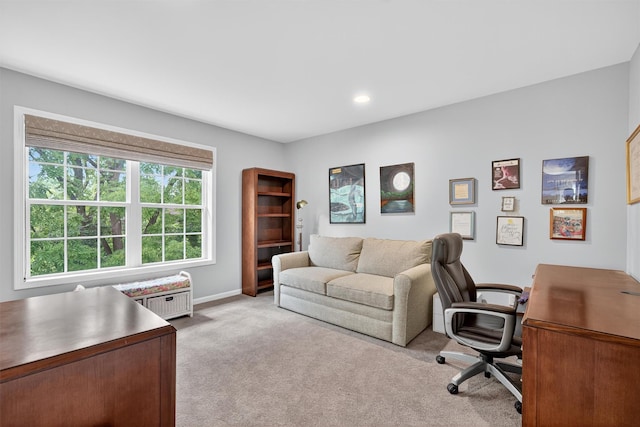 14 Hidden Creek Blvd, Monroe, NY 10950 - photo 20