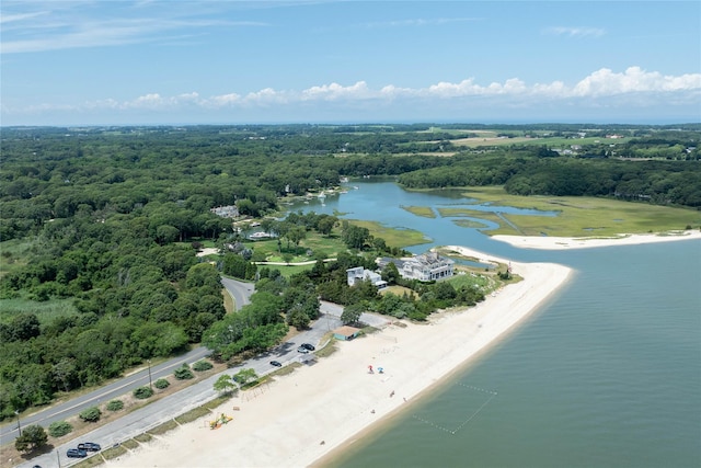 795 Pine Tree Rd, Cutchogue, NY 11935 - drone / aerial view of a large body of water and a heavily wooded area