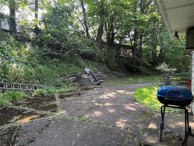 60 Polo Rd, Great Neck, NY 11023 - photo 3