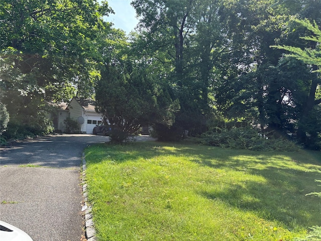 60 Polo Rd, Great Neck, NY 11023 - photo 4