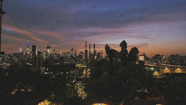 4260 Crescent St Unit 10C, Long Island City, NY 11101 - view of city skyline