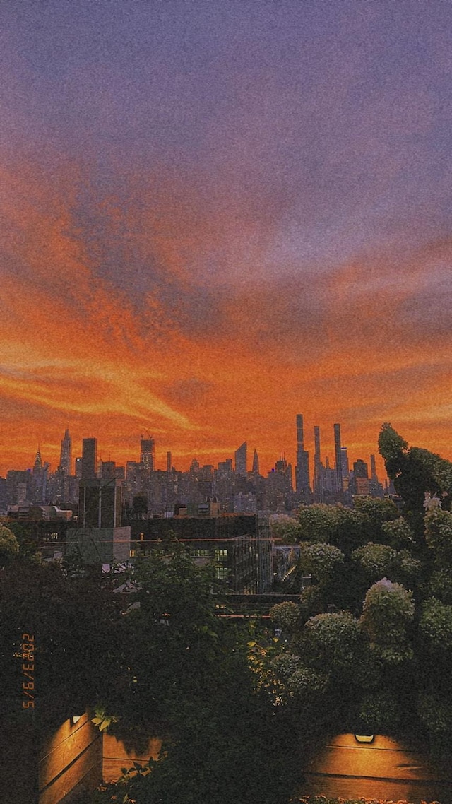 4260 Crescent St Unit 10C, Long Island City, NY 11101 - view of city skyline