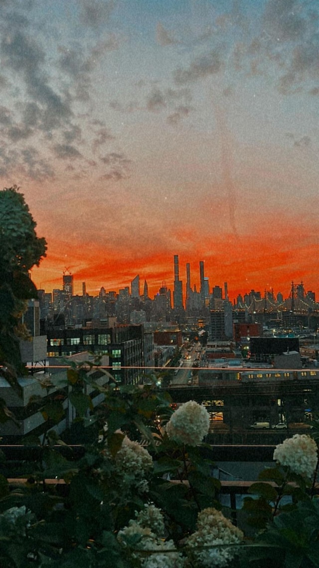4260 Crescent St Unit 10C, Long Island City, NY 11101 - skyline view