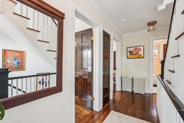 3 Bryant Ave, White Plains, NY 10605 - photo 15