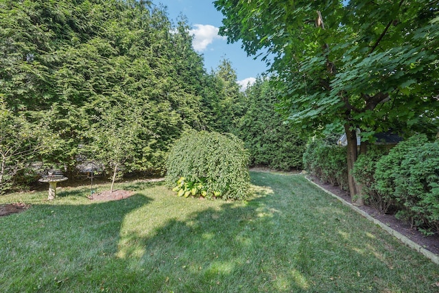 3 Bryant Ave, White Plains, NY 10605 - photo 43