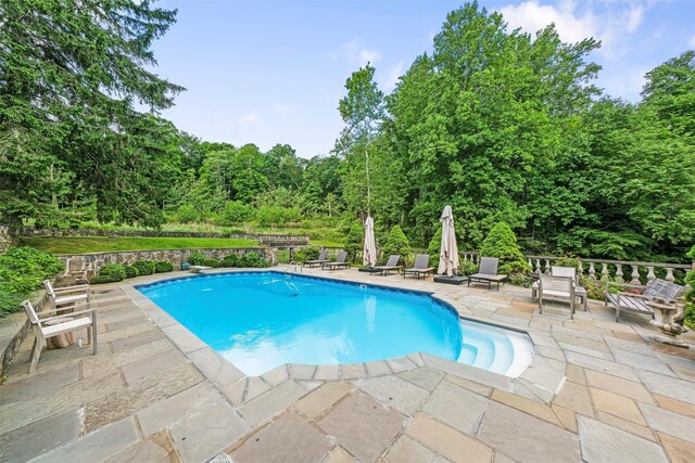 32 Tamarack Dr, Hopewell Junction, NY 12533 - photo 38