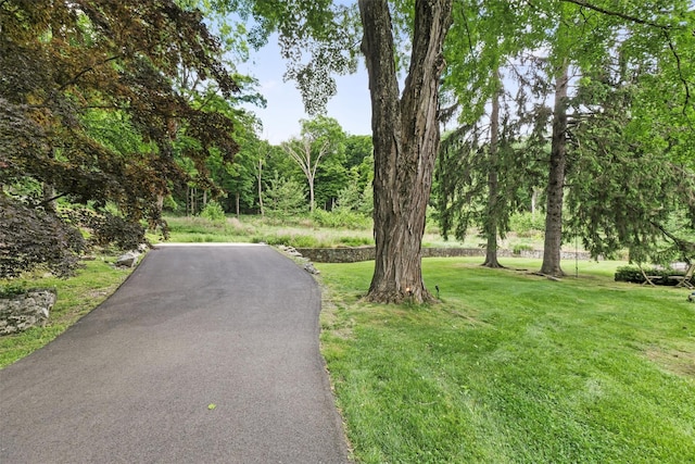 32 Tamarack Dr, Hopewell Junction, NY 12533 - photo 45
