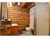 733 Braden Rd, Wawarsing, NY 12435 - full bathroom featuring log walls and a shower with door