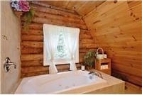 733 Braden Rd, Wawarsing, NY 12435 - bathroom featuring log walls, wooden ceiling, and lofted ceiling