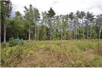 733 Braden Rd, Wawarsing, NY 12435 - view of undeveloped land