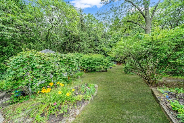 45 Berkshire Dr, Selden, NY 11784 - photo 14