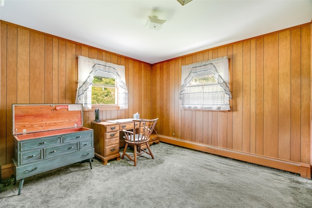 14 Mainetti Dr, Poughkeepsie, NY 12603 - photo 15