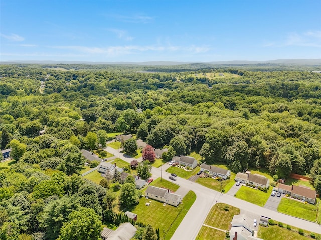 14 Mainetti Dr, Poughkeepsie, NY 12603 - photo 28