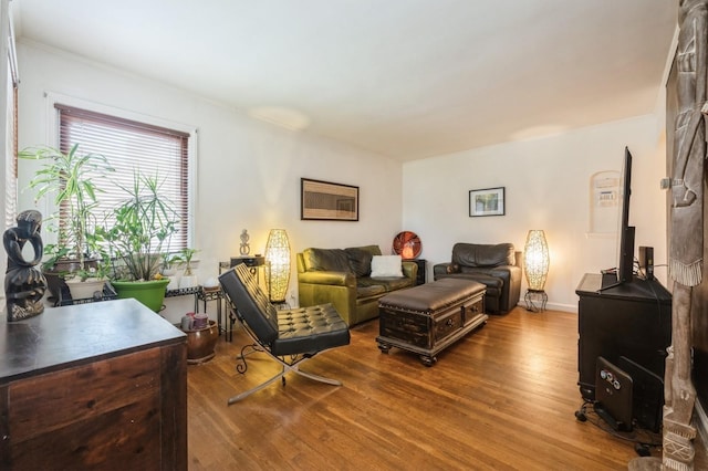 14 Albany St, Elmont, NY 11003 - photo 3