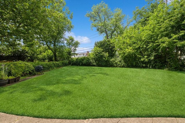 14 Albany St, Elmont, NY 11003 - photo 28