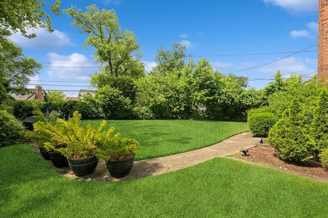 14 Albany St, Elmont, NY 11003 - photo 29