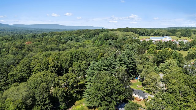 6 Farmingdale Ln, Bloomingburg, NY 12721 - photo 23