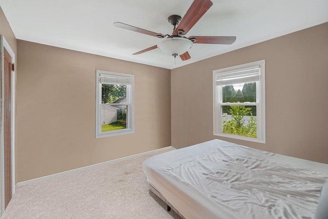 30 Leyden St, Huntington Station, NY 11746 - photo 20
