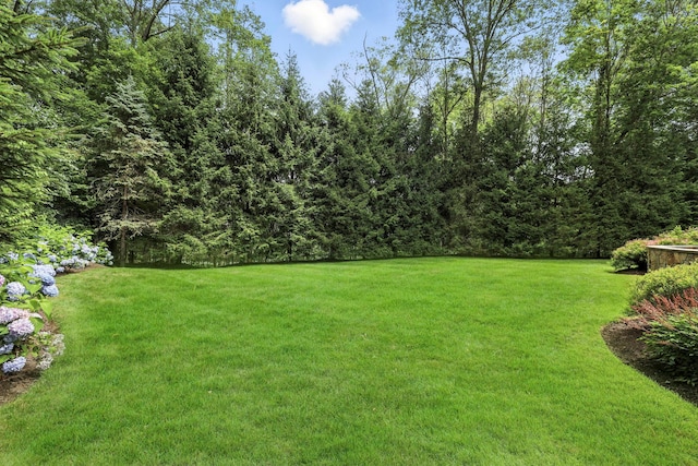 7 Purdy Ct, Briarcliff Manor, NY 10510 - photo 44