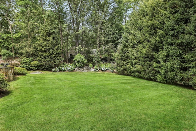 7 Purdy Ct, Briarcliff Manor, NY 10510 - photo 46