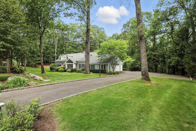 7 Purdy Ct, Briarcliff Manor, NY 10510 - photo 48
