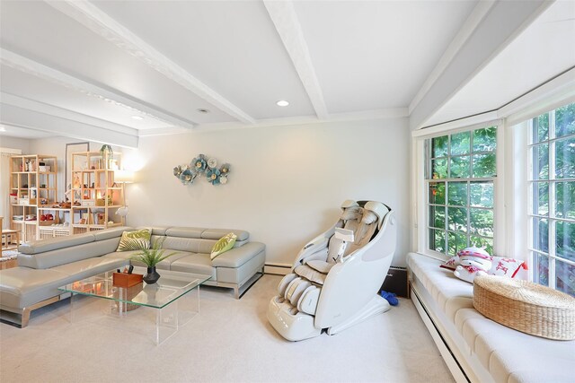 140 Princeton St, Roslyn Heights, NY 11577 - photo 6