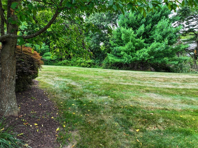 2 Riverstone Ct, Highland Mills, NY 10930 - view of grassy yard
