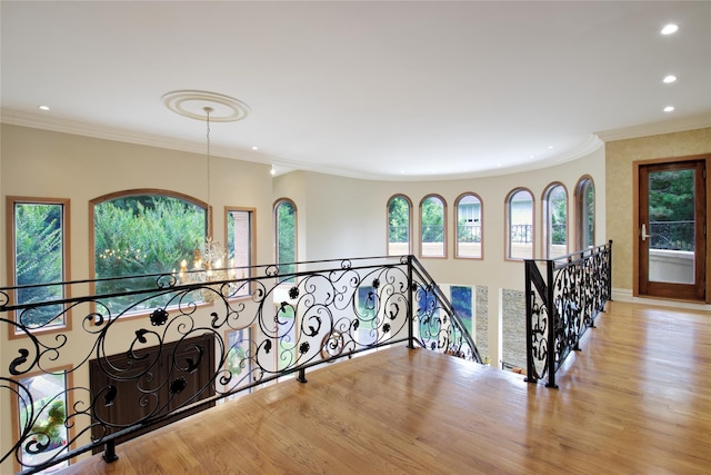527 Manhasset Woods Rd, Manhasset, NY 11030 - photo 20