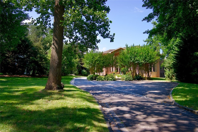 527 Manhasset Woods Rd, Manhasset, NY 11030 - photo 33