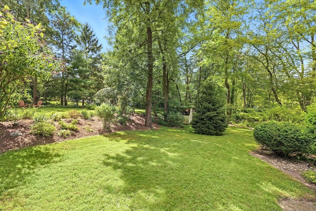 223 Hardscrabble Rd, Briarcliff Manor, NY 10510 - photo 43