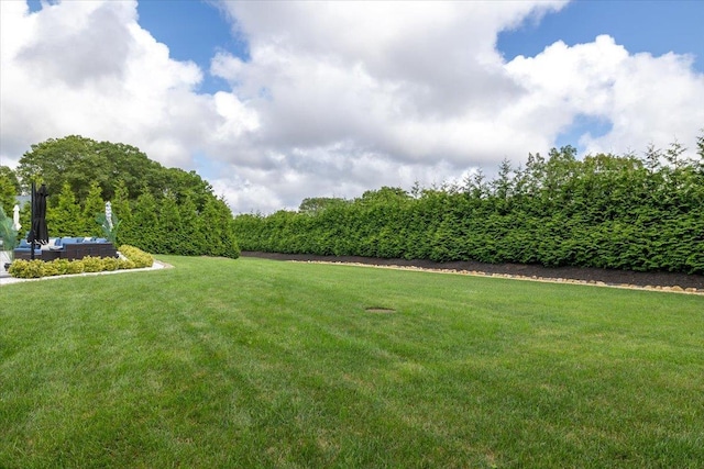 154 Mac Arthur Blvd, Hauppauge, NY 11788 - photo 29