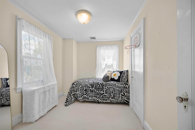 254-06 W End Dr, Great Neck, NY 11020 - photo 23
