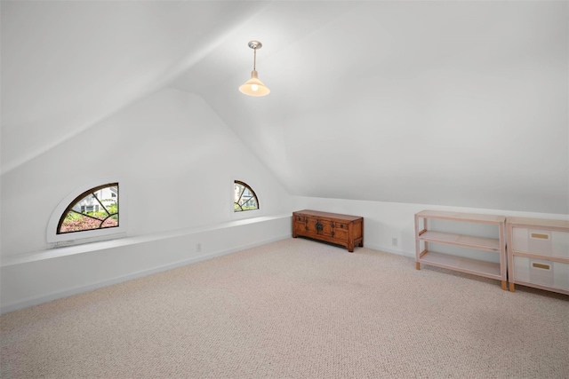 254-06 W End Dr, Great Neck, NY 11020 - photo 26