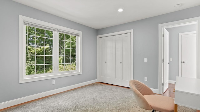 4 Cameli Dr, Wappingers Falls, NY 12590 - photo 19