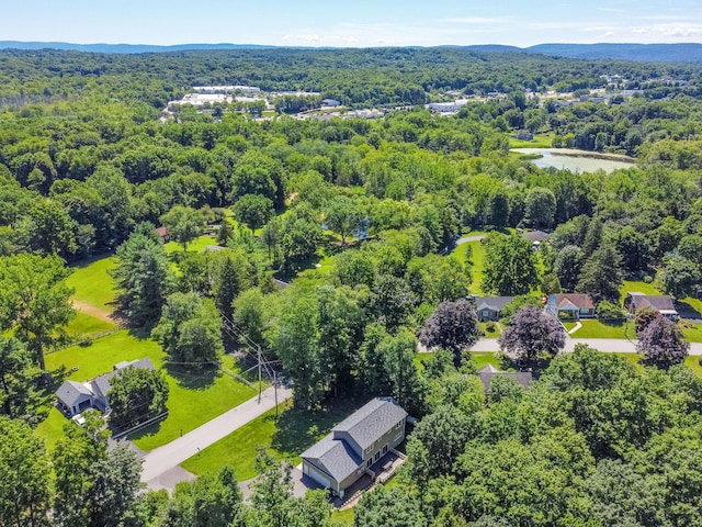 4 Cameli Dr, Wappingers Falls, NY 12590 - photo 34
