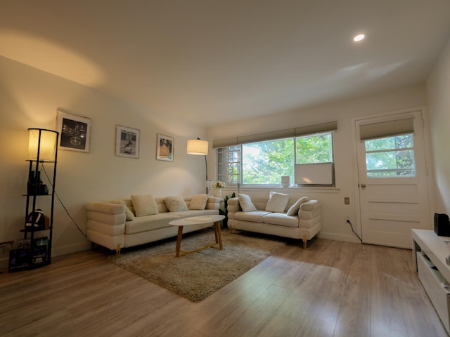 2725 E 65th St, Brooklyn, NY 11234 - living room featuring plenty of natural light, wood finished floors, and recessed lighting