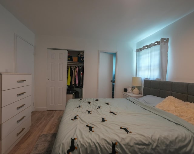 2725 E 65th St, Brooklyn, NY 11234 - bedroom with wood finished floors and a closet