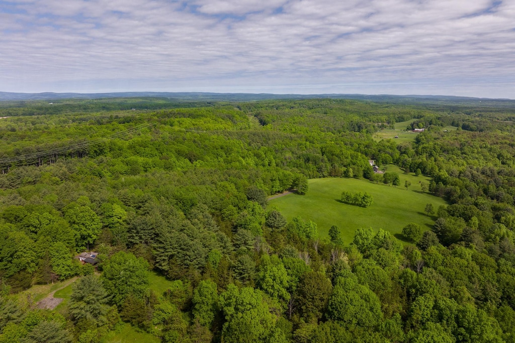 3838 Schoharie Tpke, Greenville, NY 12083 - photo 1