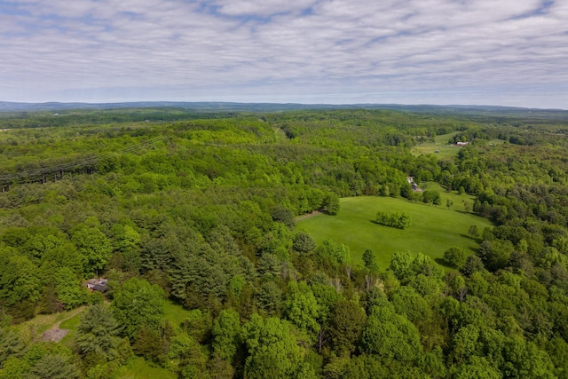 3838 Schoharie Tpke, Greenville, NY 12083 - photo 1