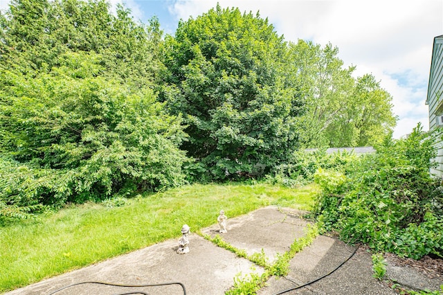 1435 Peters Blvd, Bay Shore, NY 11706 - view of yard