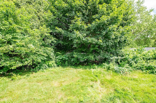 1435 Peters Blvd, Bay Shore, NY 11706 - view of yard